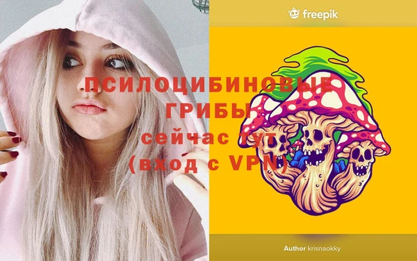 apvp Арсеньев