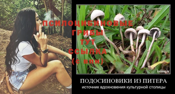 кокс Армянск