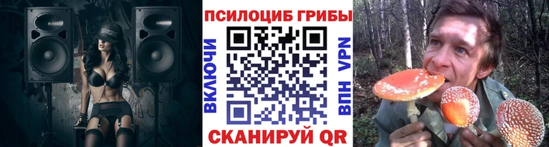 Псилоцибиновые грибы прущие грибы  купить  сайты  Питкяранта 