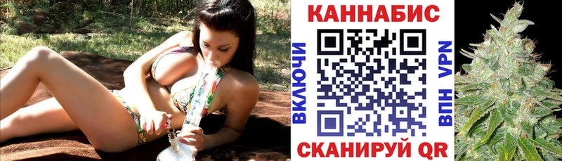Шишки марихуана THC 21%  Питкяранта 